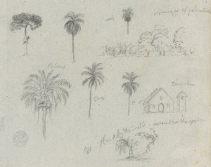 Croquis du Rio Magdalena, Colombie. Croquis botaniques. Une église. Similaire à -103. - Frederic Edwin Church